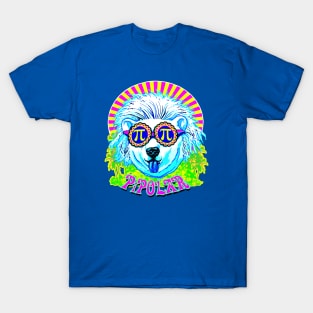 Pi Polar Bear Pi Day T-Shirt